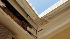 Phoenix Termite Inspections AZ Property Inspections